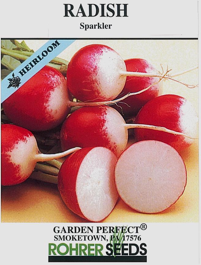 Sparkler Radish Seeds - Image 2