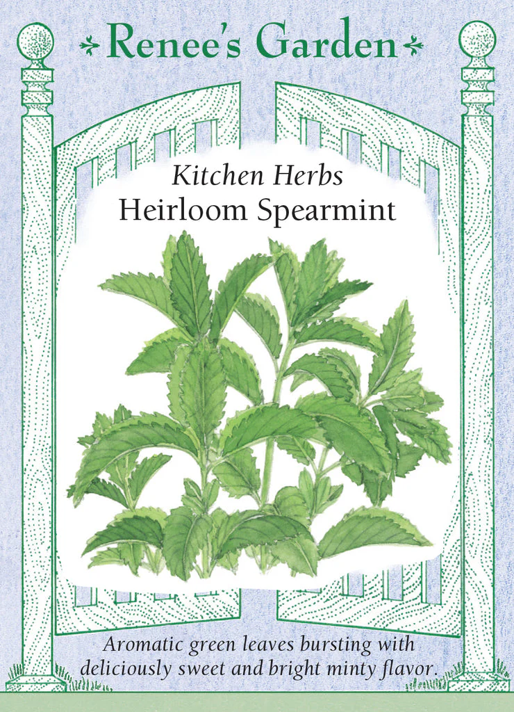 Spearmint - Image 2