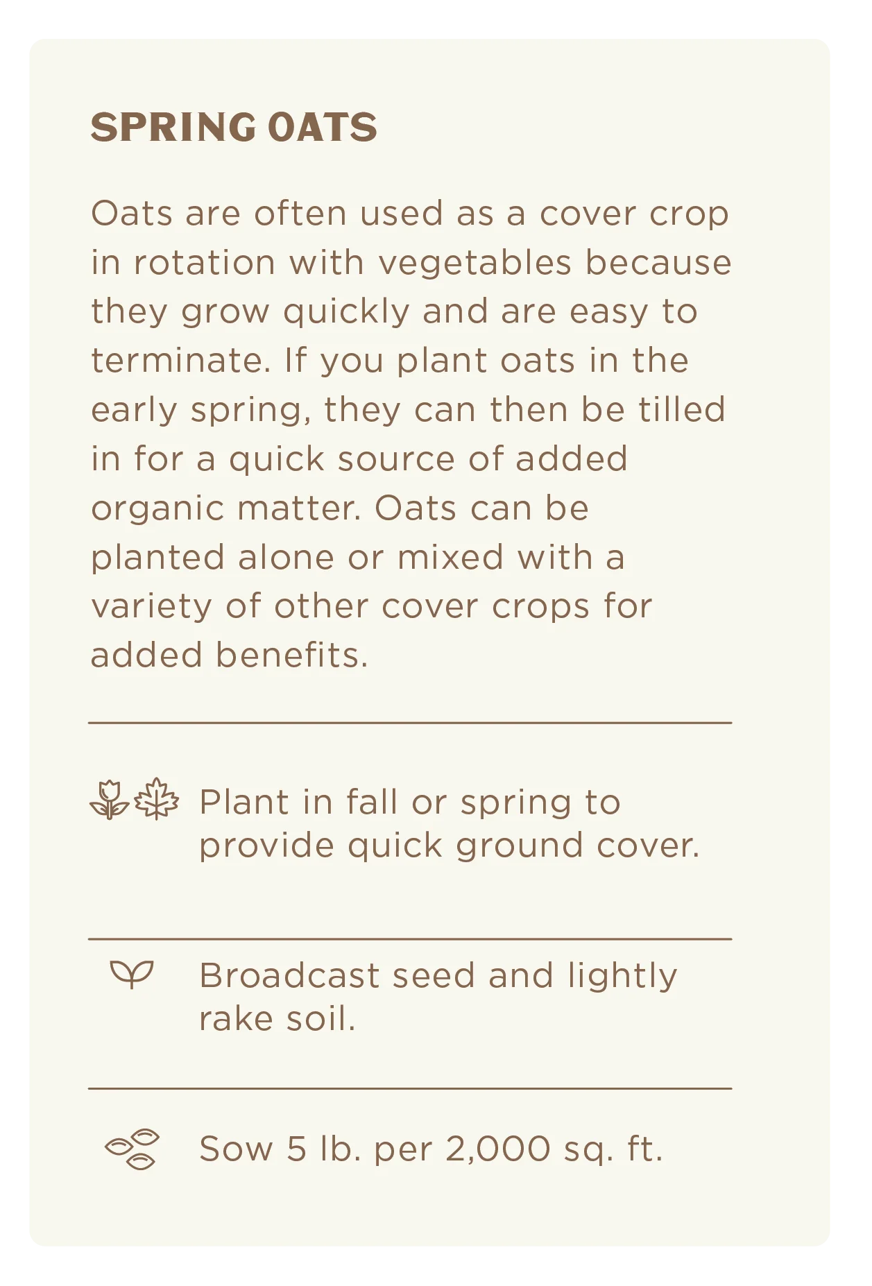 Spring Oats (5 lb.), Cover Crop Seeds - Image 4
