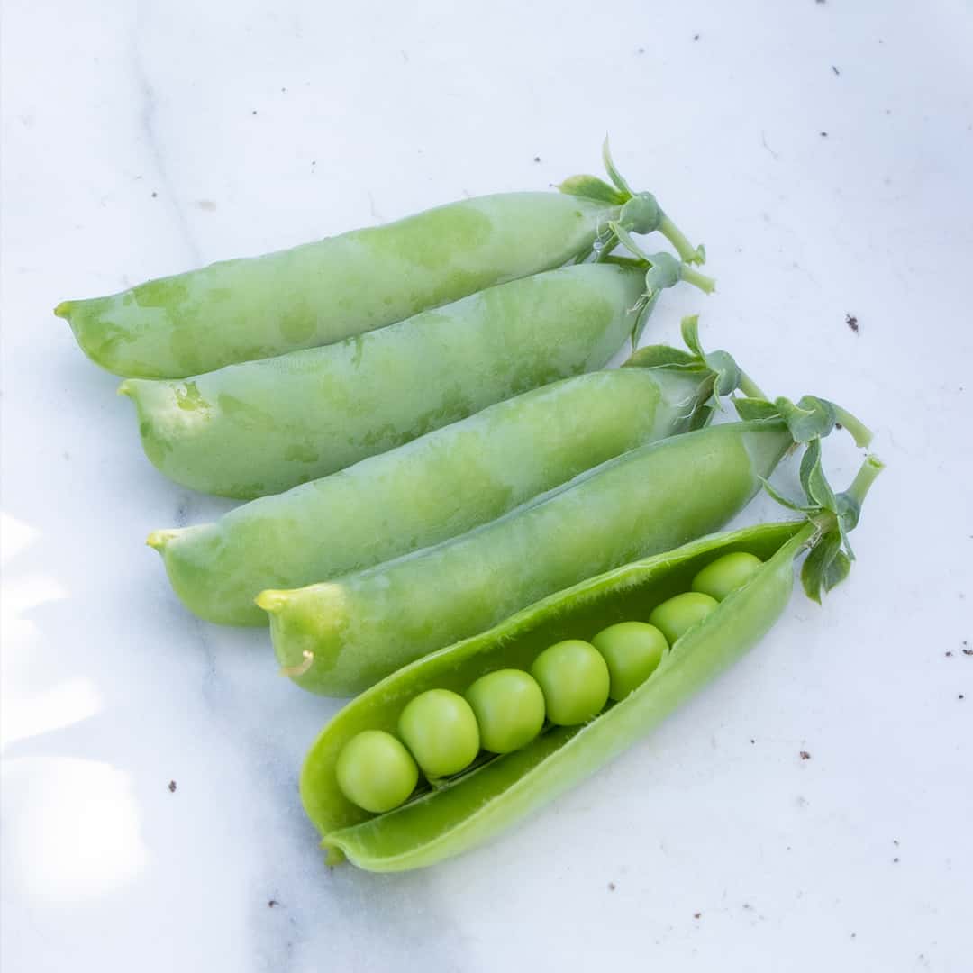 Strike Pea Seeds