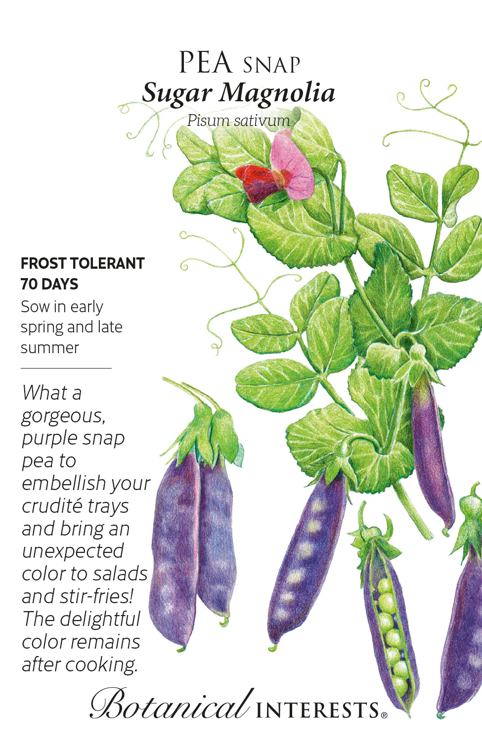 Sugar Magnolia Snap Pea
