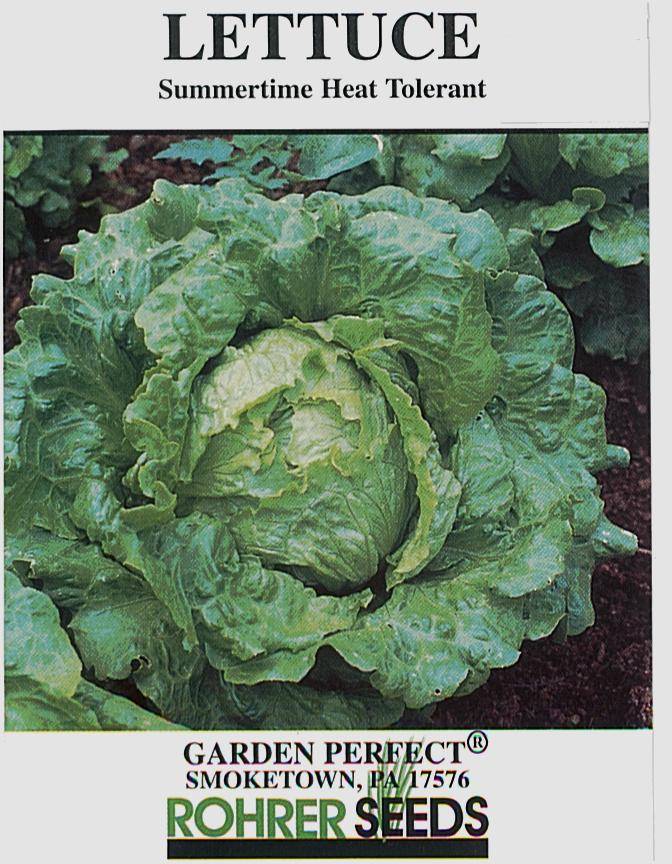 Summertime Lettuce Seeds