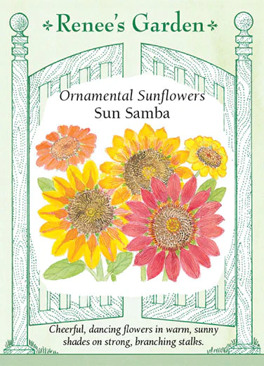 Sun Samba Sunflower - Image 2