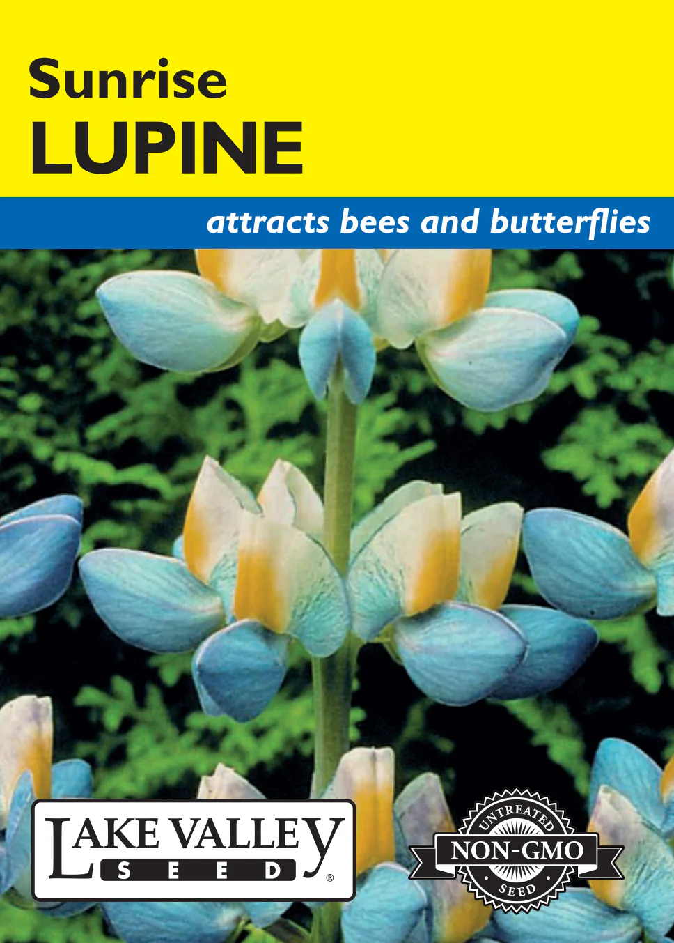 Sunrise Lupine