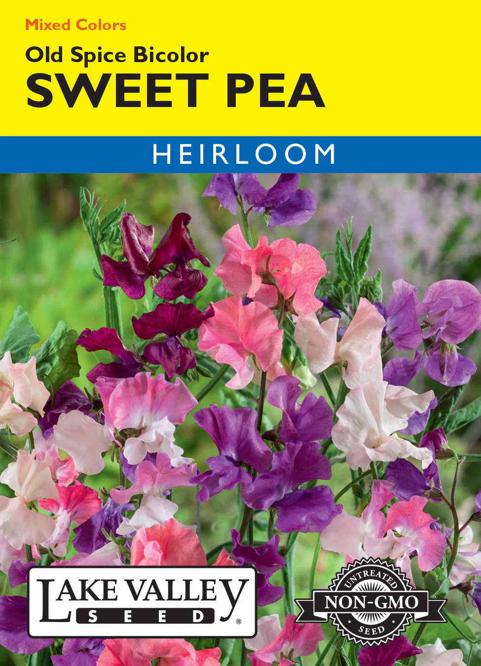 Old Spice Bicolor Sweet Pea Mix