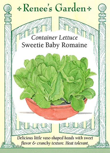 Sweetie Baby Romaine Container Lettuce - Image 2