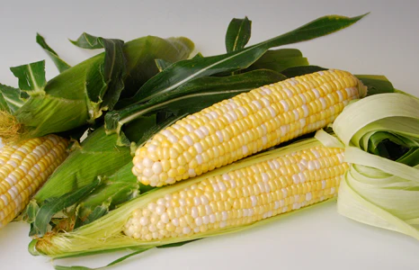Sweetness Bicolor Sweet Corn Seeds