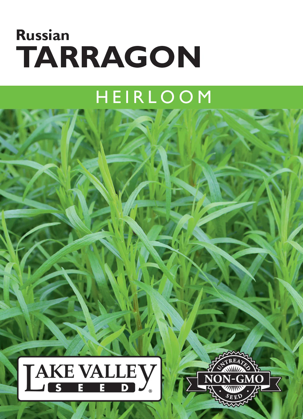 Russian Tarragon