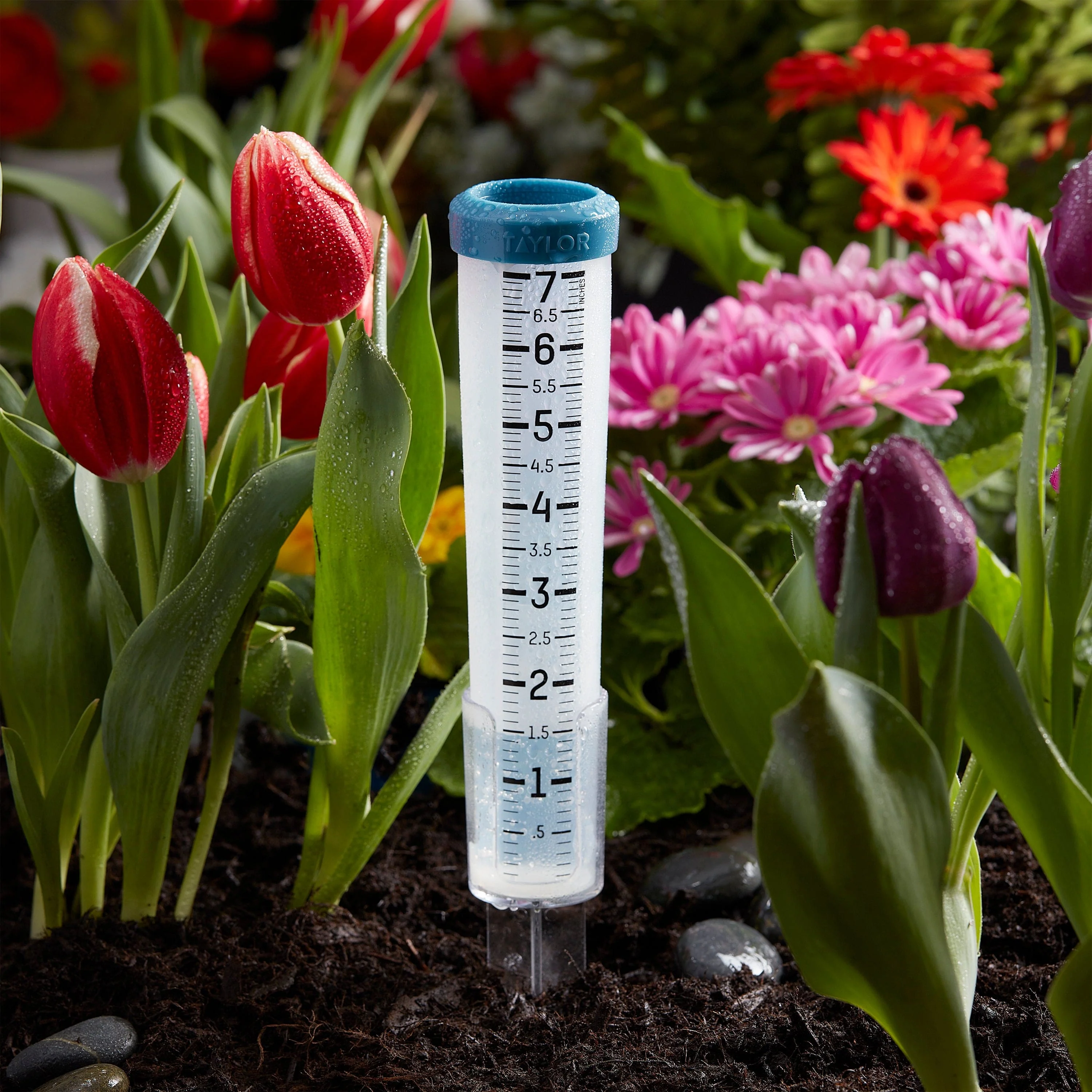 Taylor 7" Capacity Silicone Rain Gauge