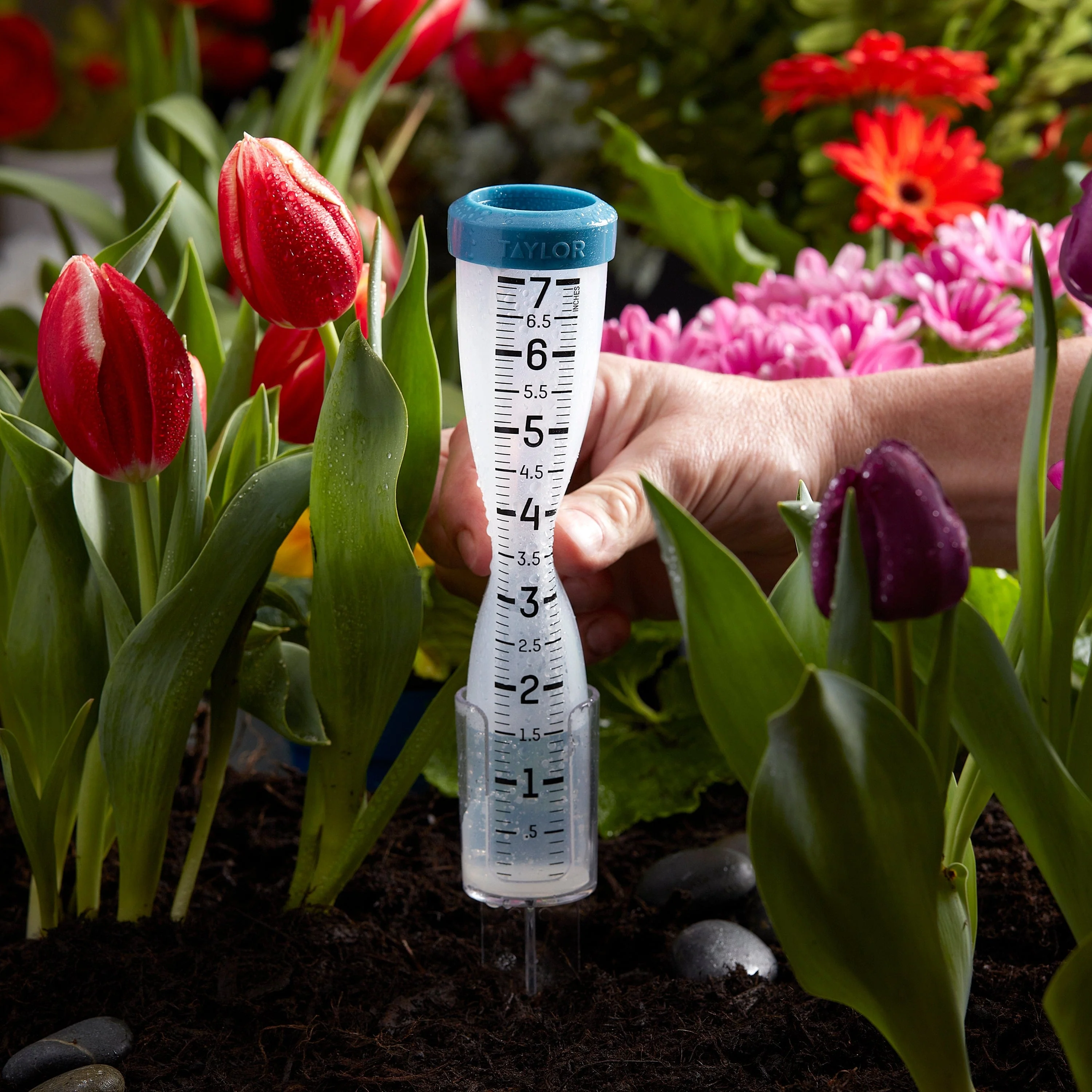Taylor 7" Capacity Silicone Rain Gauge - Image 5