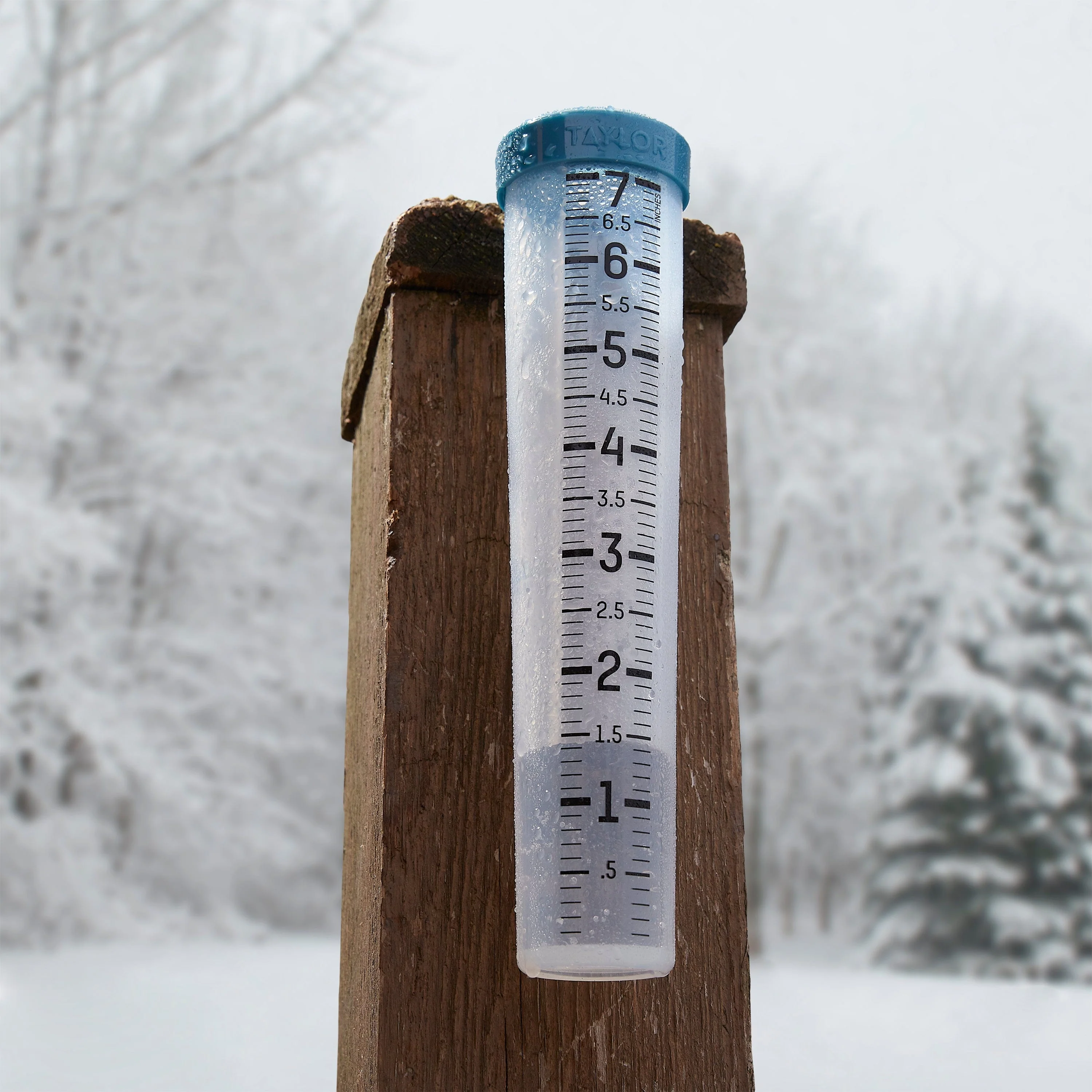 Taylor 7" Capacity Silicone Rain Gauge - Image 6