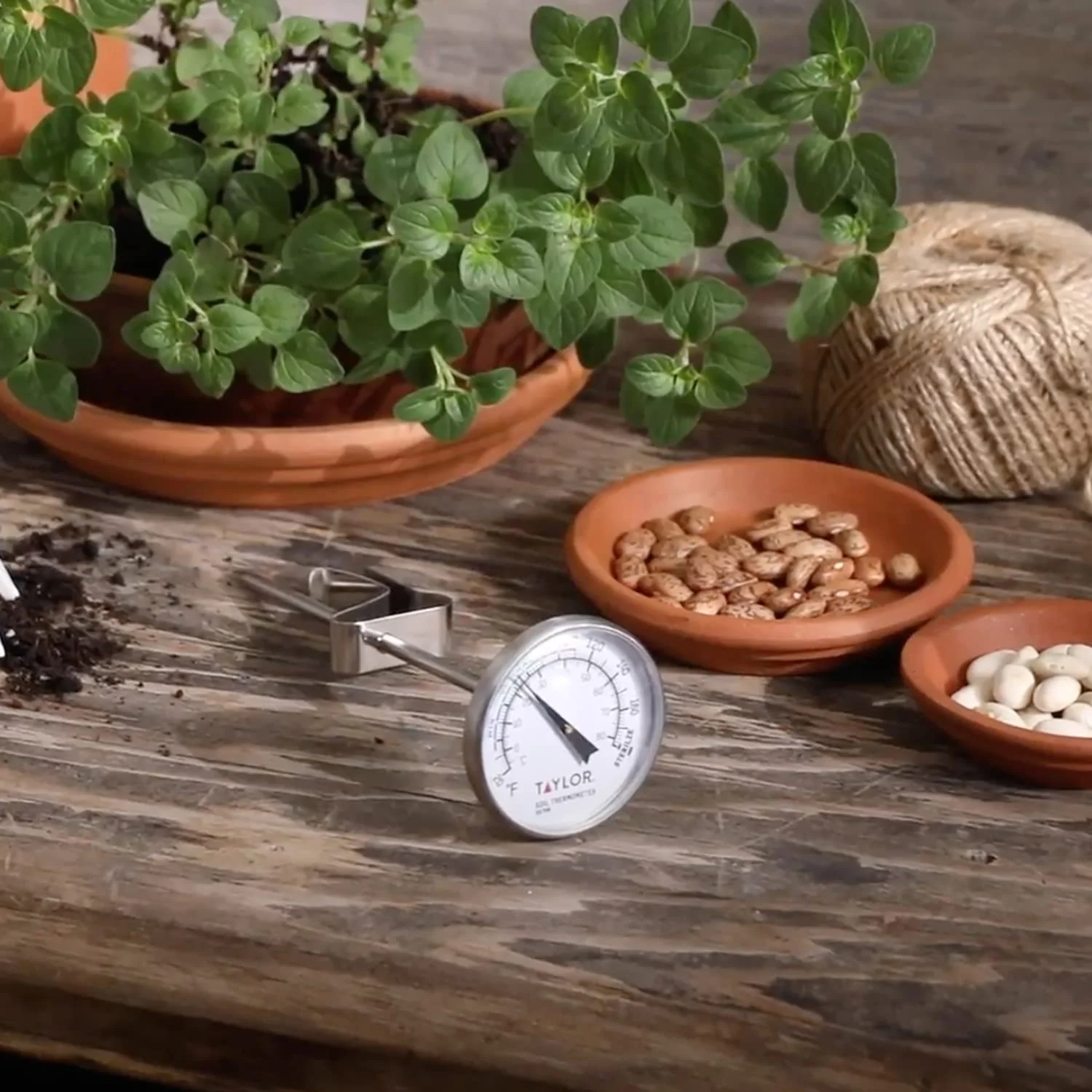 Taylor Indoor & Outdoor Soil Thermometer