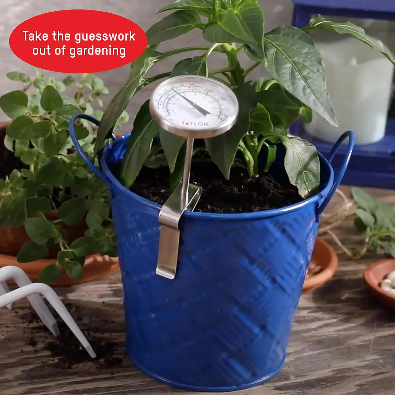 Taylor Indoor & Outdoor Soil Thermometer - Image 5