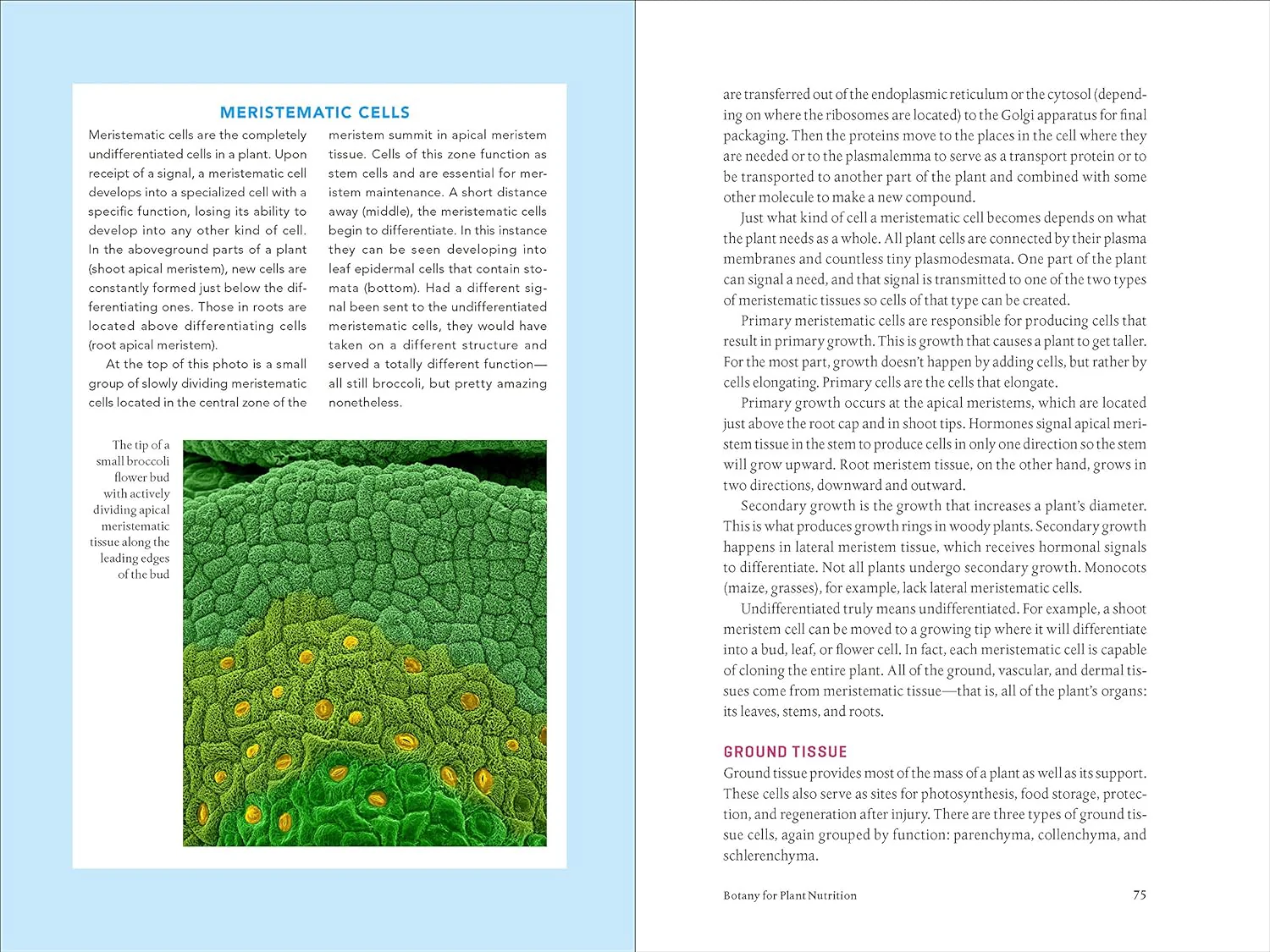Teaming with Nutrients by Jeff Lowenfels - Image 6