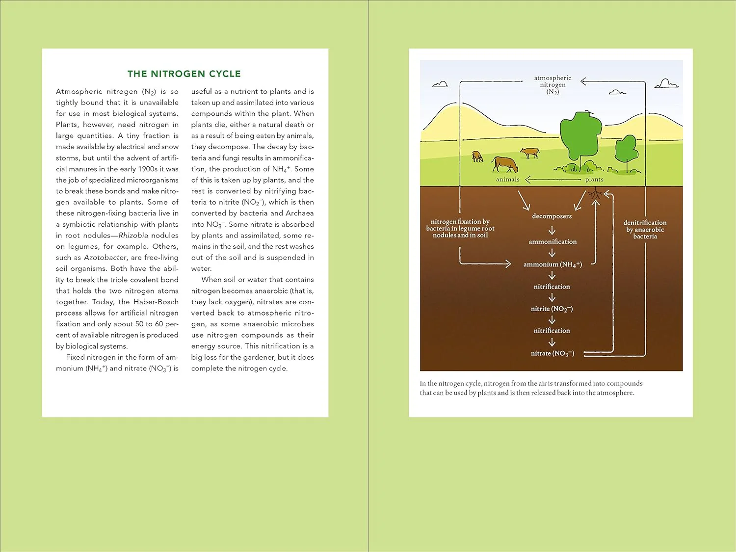 Teaming with Nutrients by Jeff Lowenfels - Image 7