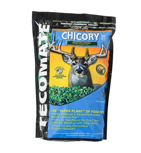 Tecomate Champion Chicory - Image 2
