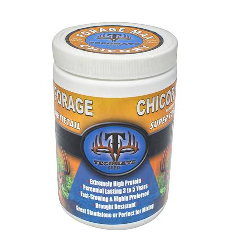 Tecomate Champion Chicory - Image 3
