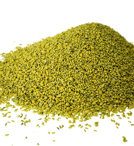 Tecomate Champion Chicory - Image 5