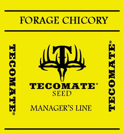 Tecomate Champion Chicory - Image 6