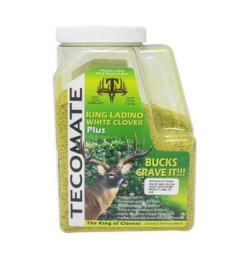 Tecomate King Ladino White Clover