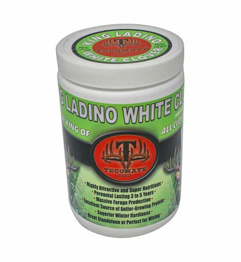 Tecomate King Ladino White Clover - Image 2