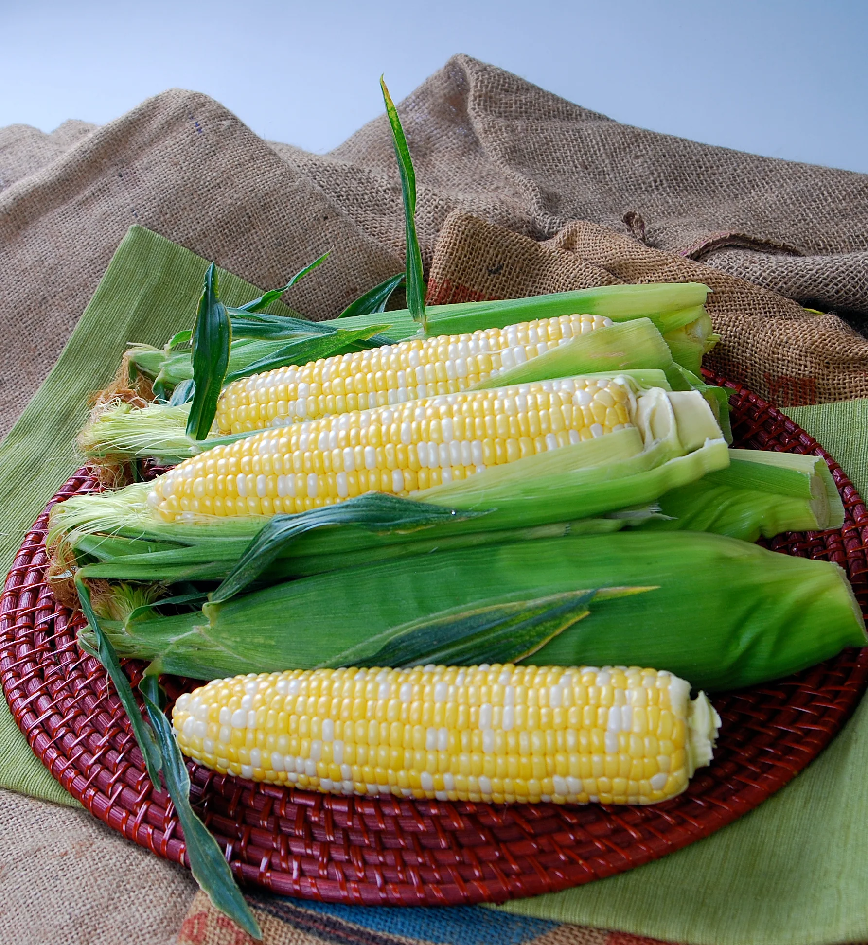 Temptress Sweet Corn Seeds