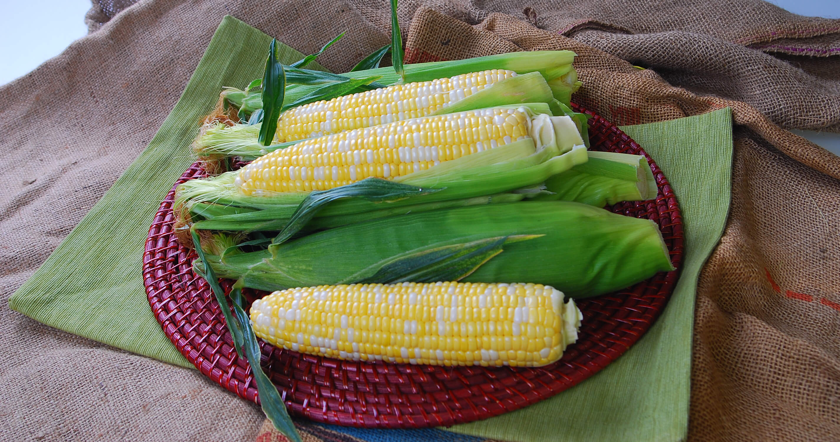Temptress Sweet Corn Seeds - Image 2