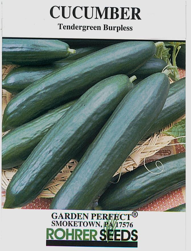 Tendergreen Burpless Cucumber - Image 2