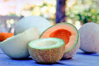 Three Flavor Mix Melon