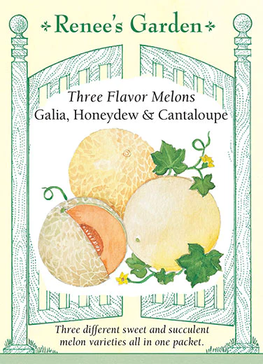 Three Flavor Mix Melon - Image 2