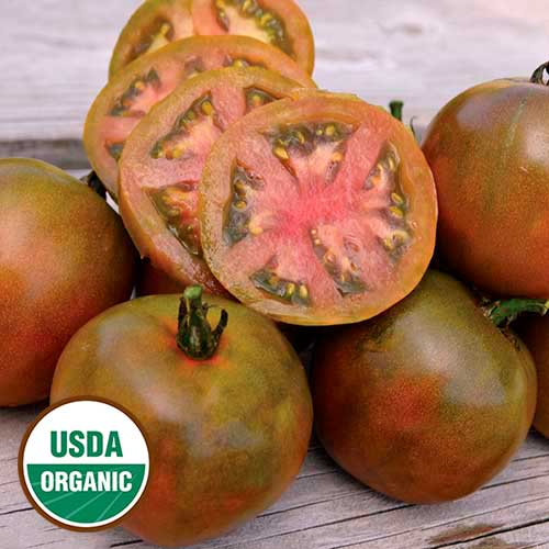 Nyagous Tomato