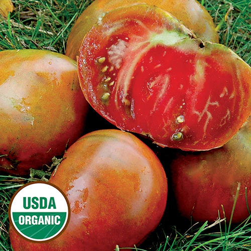 Paul Robeson Tomato
