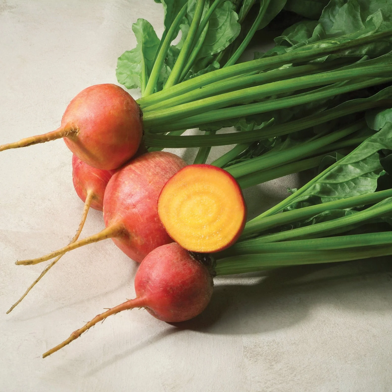 Touchstone Gold Beet Seeds