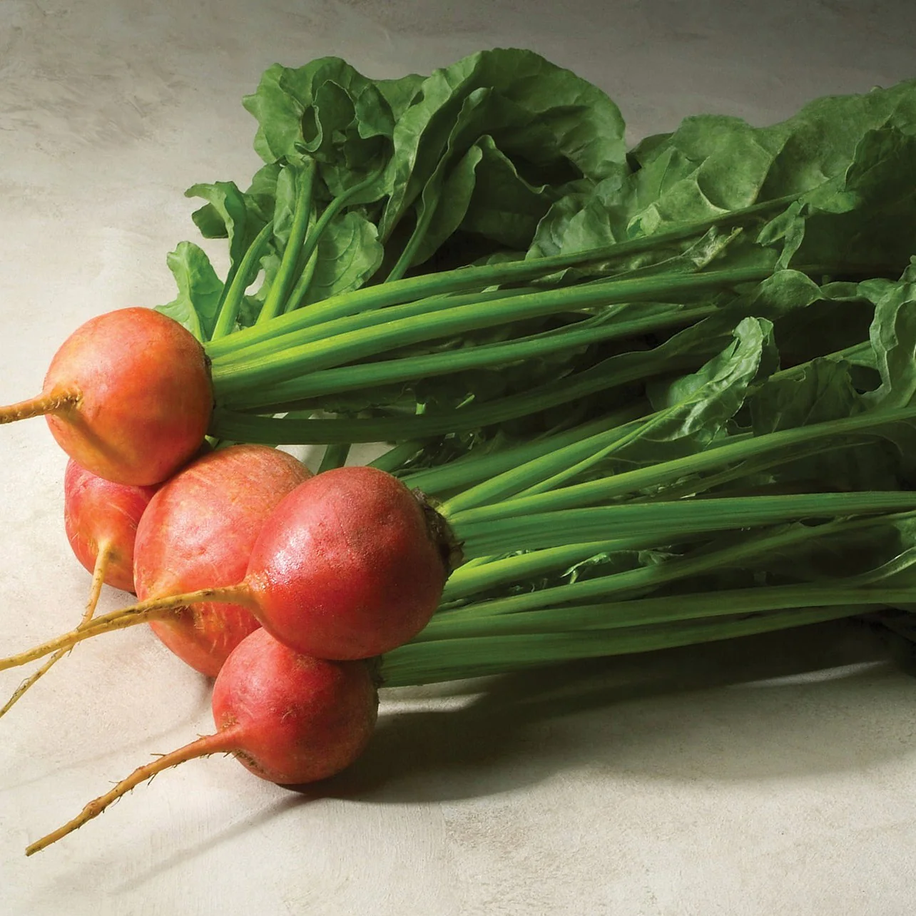 Touchstone Gold Beet Seeds - Image 2