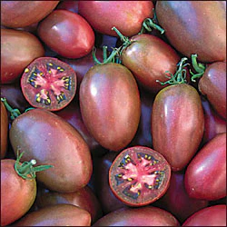 Ukrainian Purple Tomato