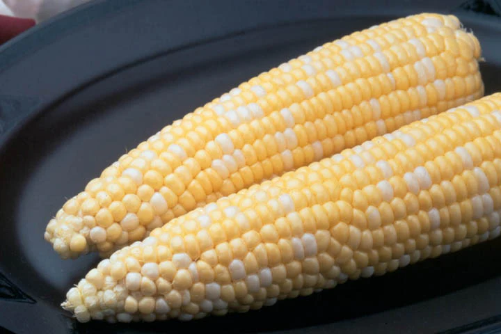 Untreated Ambrosia Sweet Corn Seeds