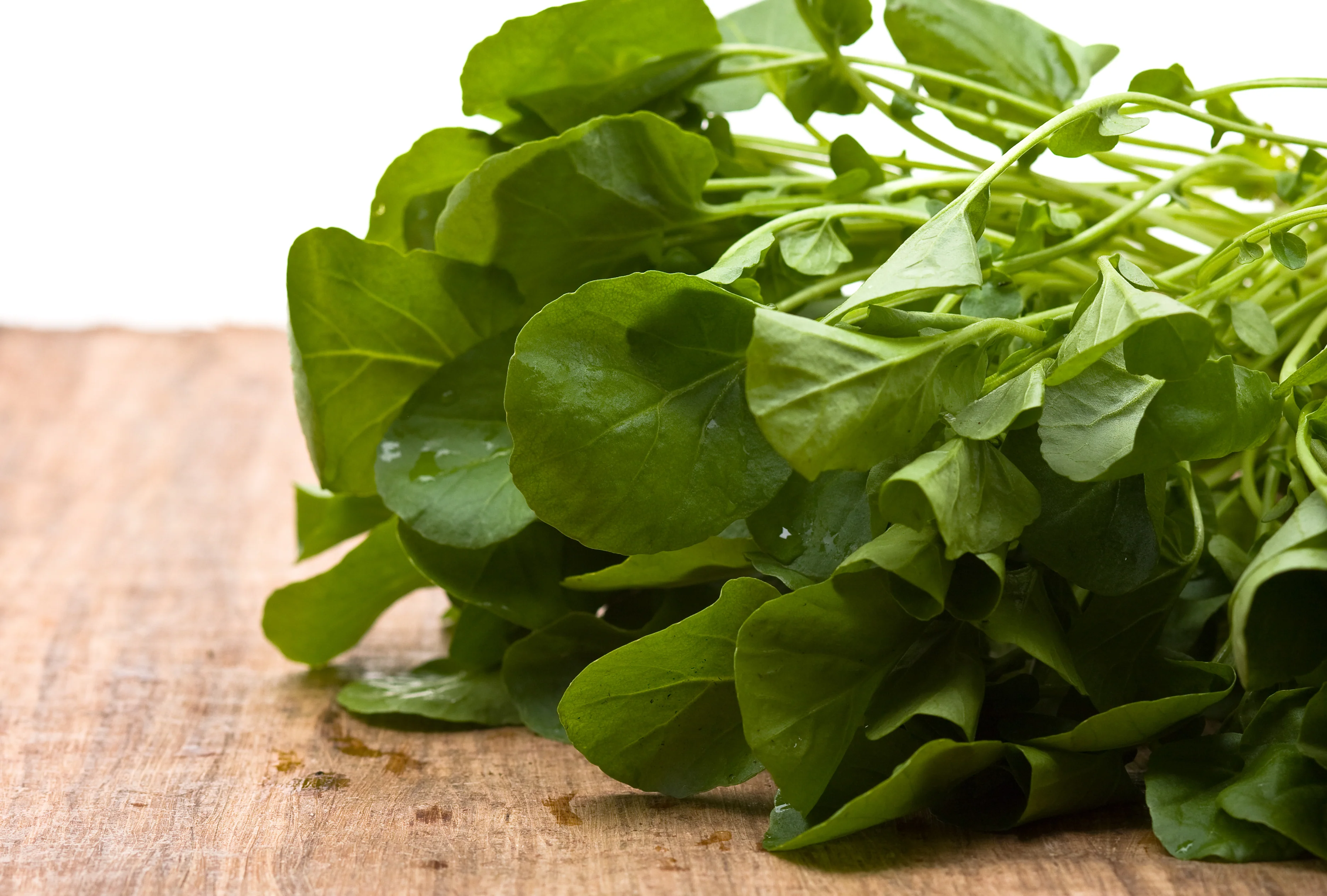 Upland Cress - Broadleaved Seeds