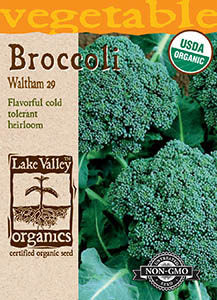 Organic Waltham 29 Broccoli