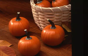 Wee-b-little Pumpkin Seeds - Image 2