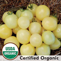 White Cherry Tomato