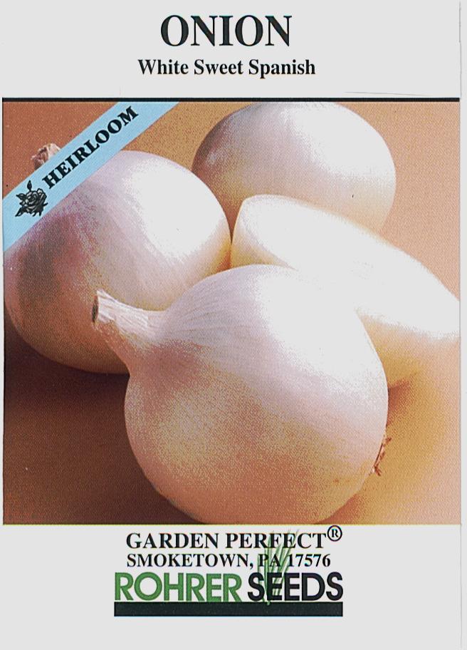 White Sweet Spanish Onion Seeds - Image 2