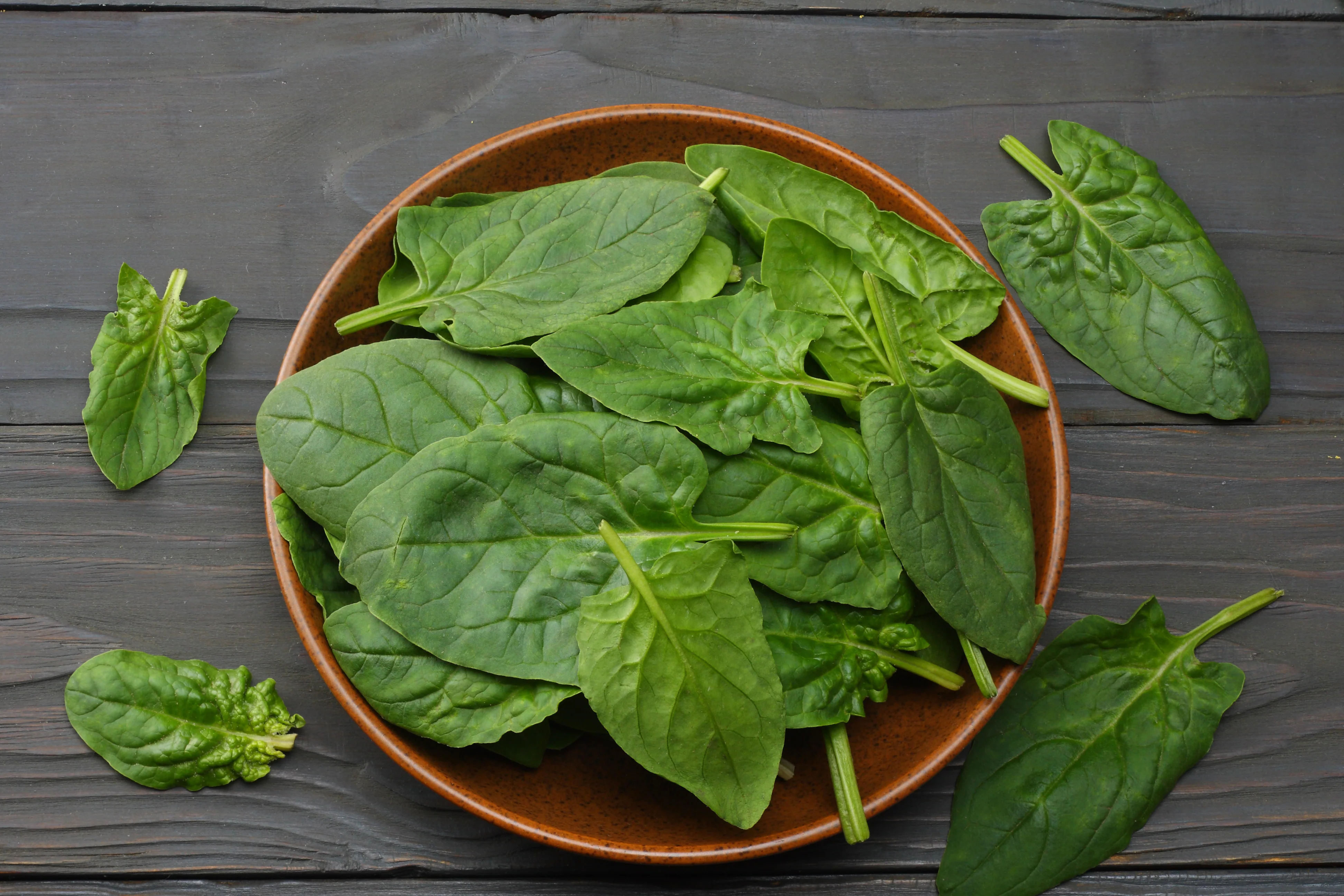 Winter Giant Spinach Seeds