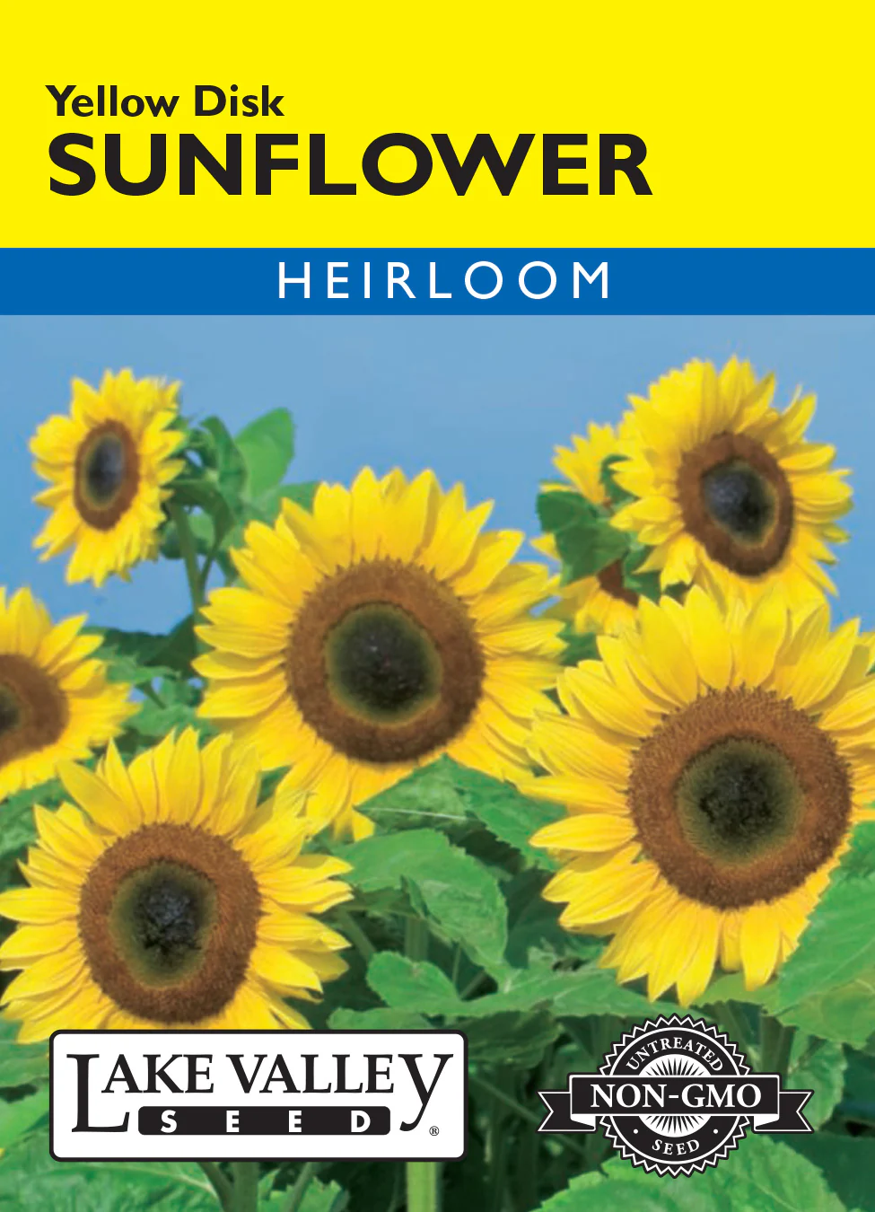 Yellow Disk Sunflower