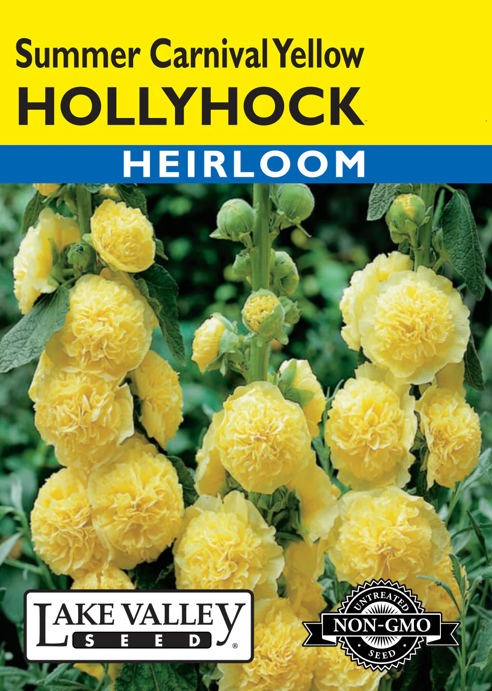 Yellow Summer Carnival Hollyhock