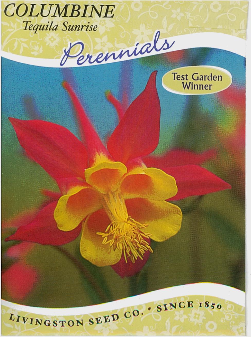 Tequila Sunrise Columbine