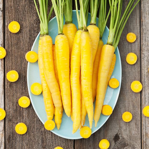 Yellowstone Carrot