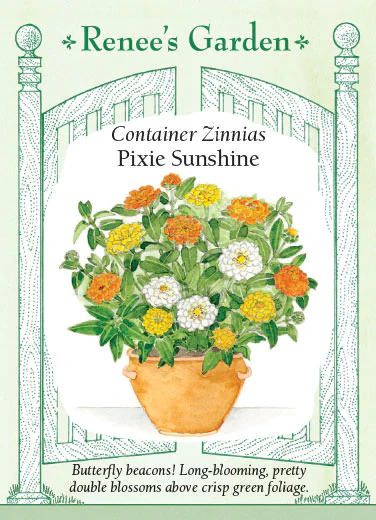 Pixie Sunshine Zinnias - Image 2